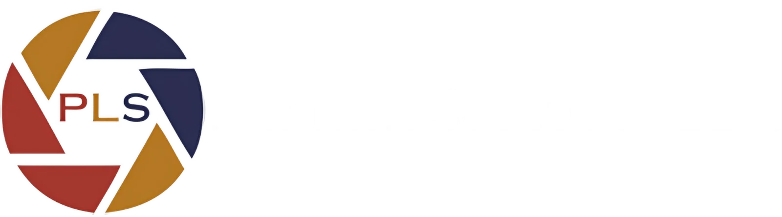Paklink Servce Footer Logo